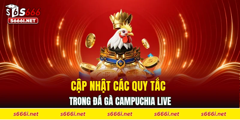Cập nhật các quy tắc trong đá gà Campuchia live