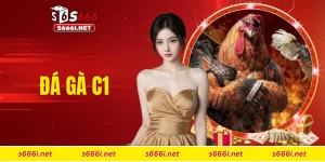 đá gà C1