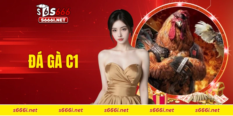 đá gà C1