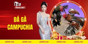 Đá gà Campuchia