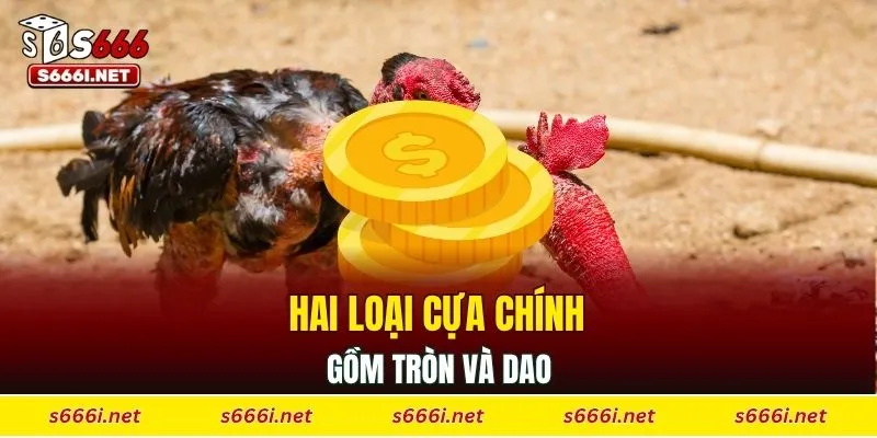 Hai loại cựa chính gồm tròn và dao