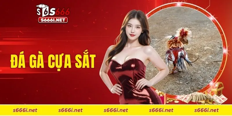 đá gà cựa sắt