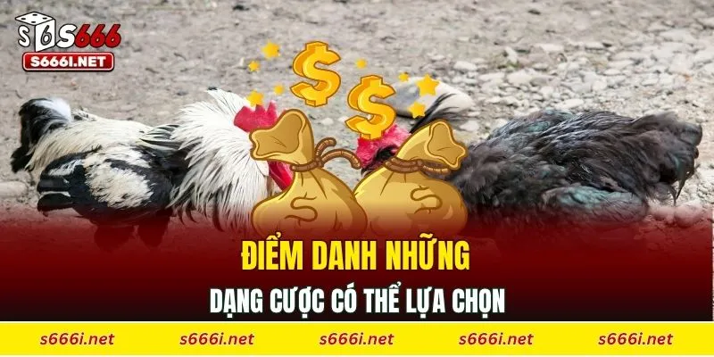 Điểm danh những dạng cược có thể lựa chọn