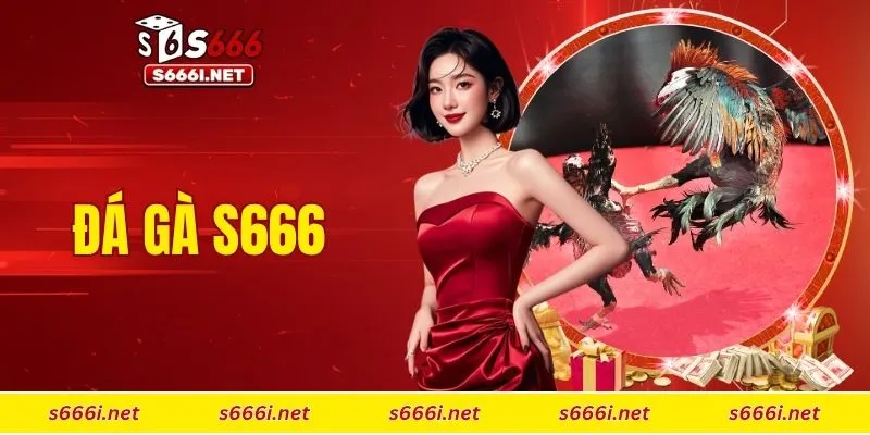 Đá gà S666