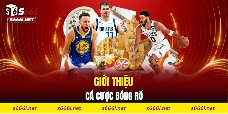 Giới thiệu cá cược bóng rổ