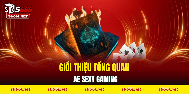 Giới thiệu tổng quan Ae Sexy Gaming