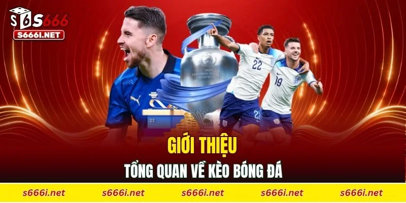 Giới thiệu tổng quan về kèo bóng đá