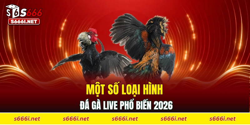 Một số loại hình đá gà live phổ biến 2026
