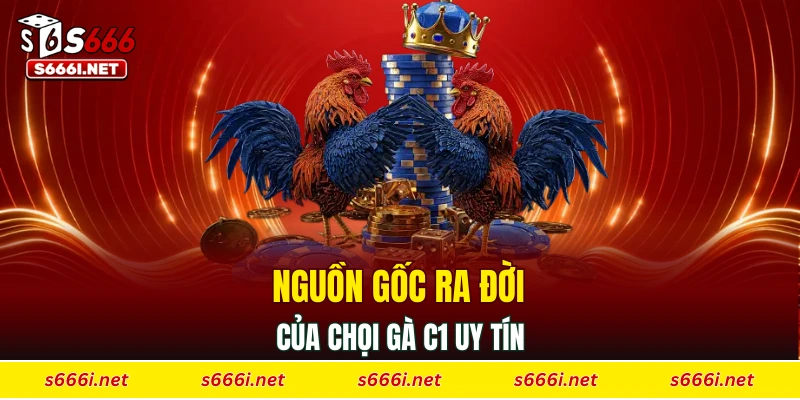 Nguồn gốc ra đời của chọi gà C1 uy tín